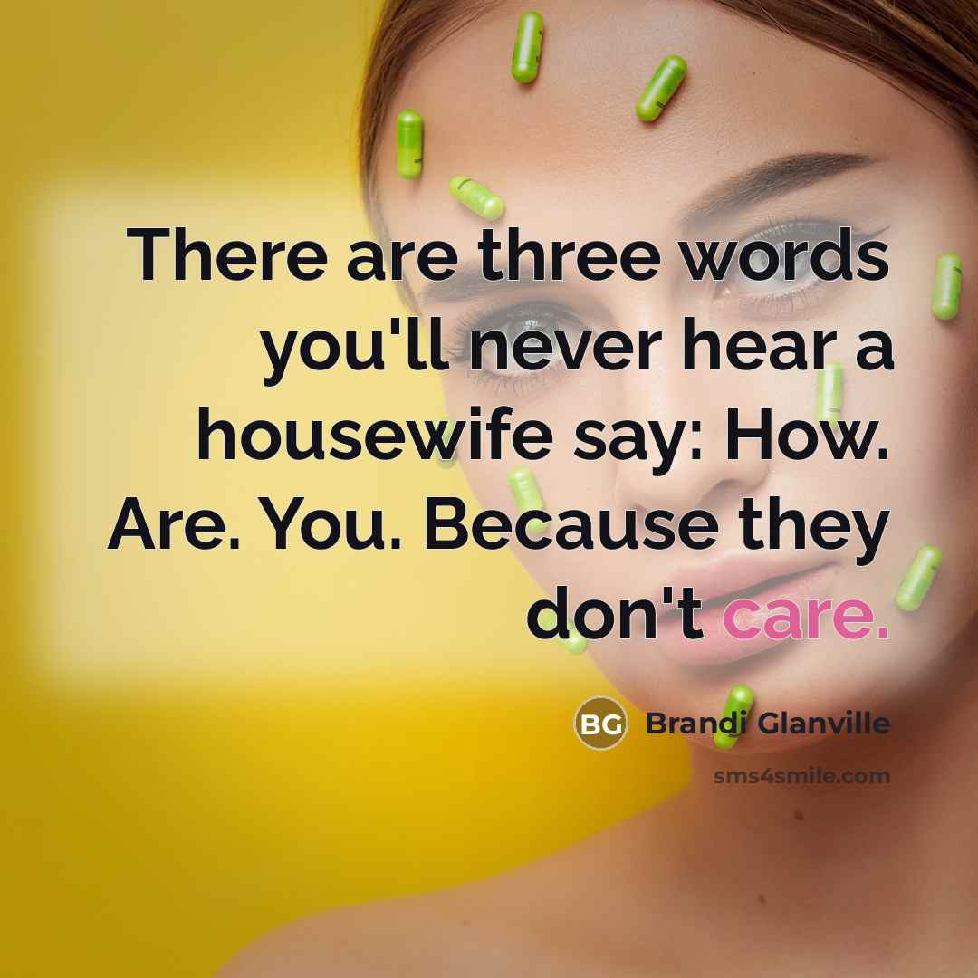 “There are three words you'll never hear a housewife say:…” quote by Brandi Glanville