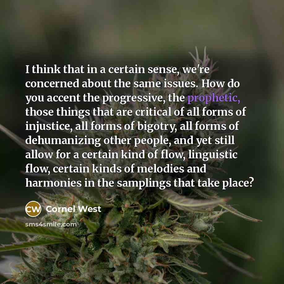 “I think that in a certain sense, we're concerned about…” quote by Cornel West