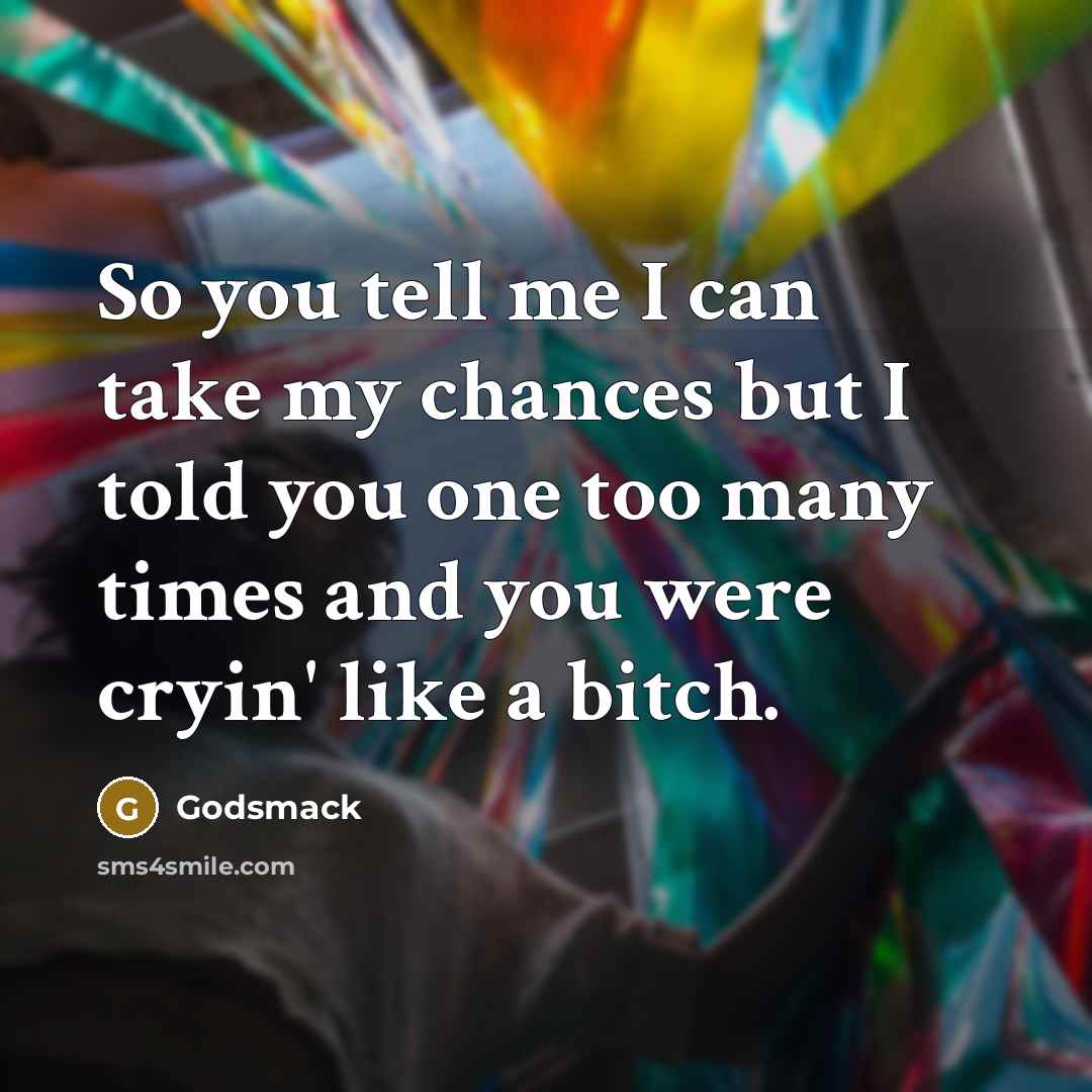 “So you tell me I can take my chances but…” quote by Godsmack