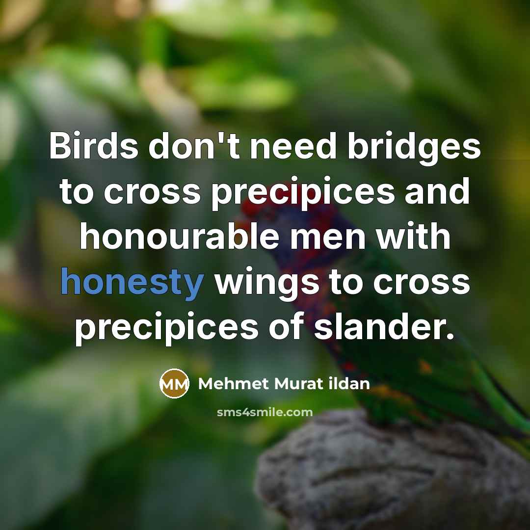 “Birds don't need bridges to cross precipices and honourable men…” quote by Mehmet Murat Ildan