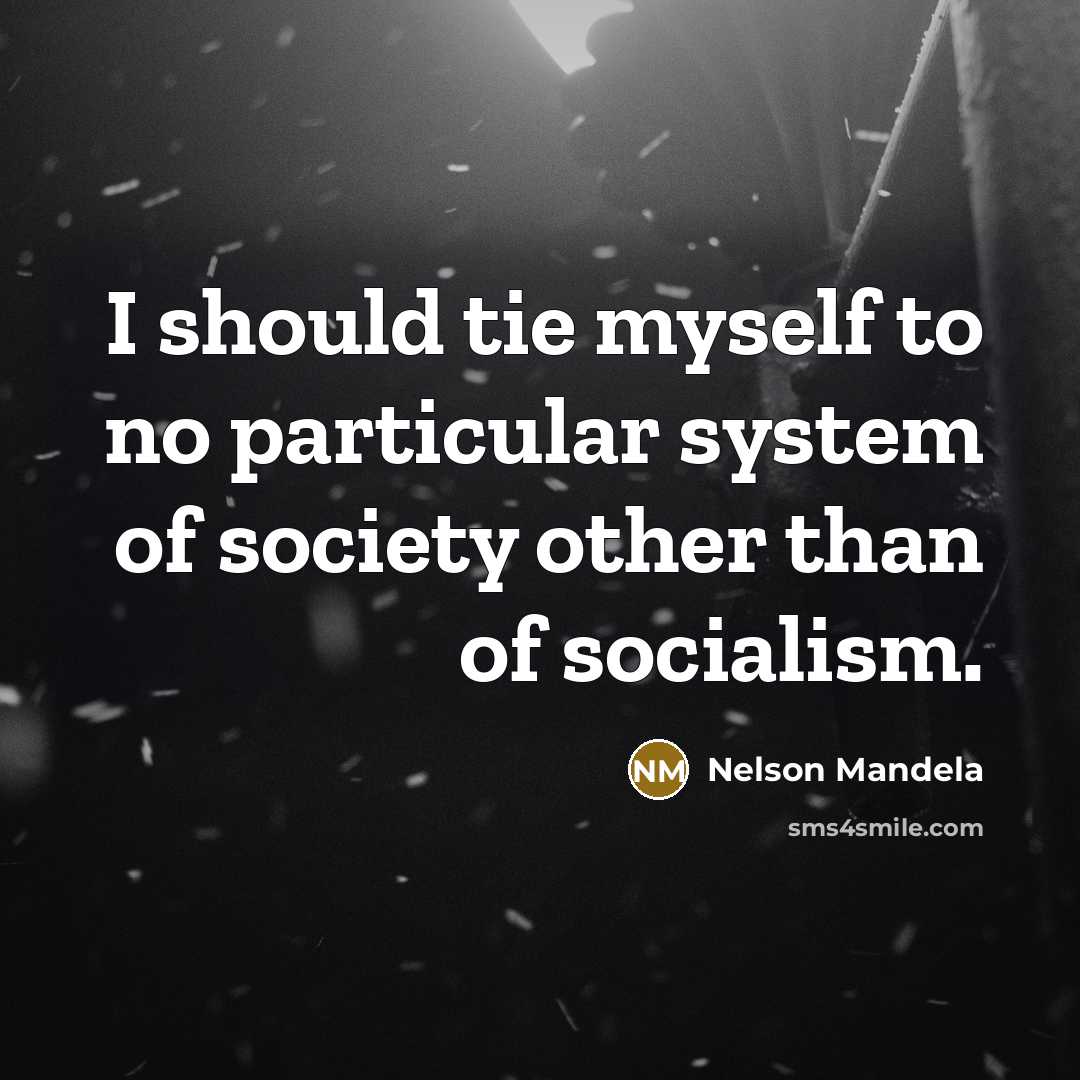 “I should tie myself to no particular system of society…” quote by Nelson Mandela
