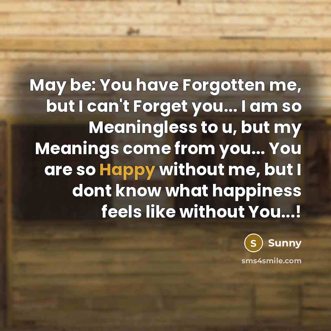 “May be: You have Forgotten me, but I can't Forget…” quote by Sunny