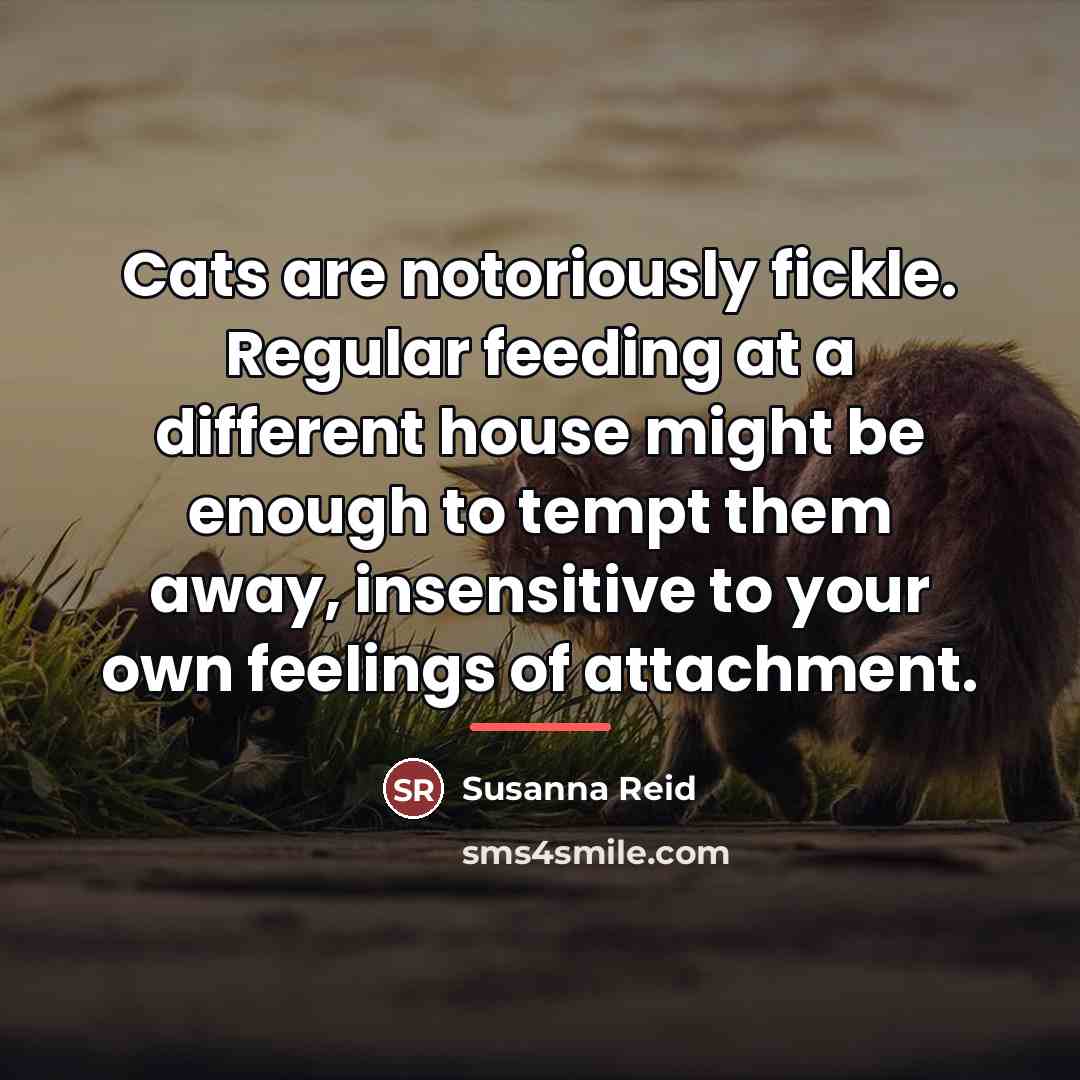 “Cats are notoriously fickle. Regular feeding at a different house…” quote by Susanna Reid