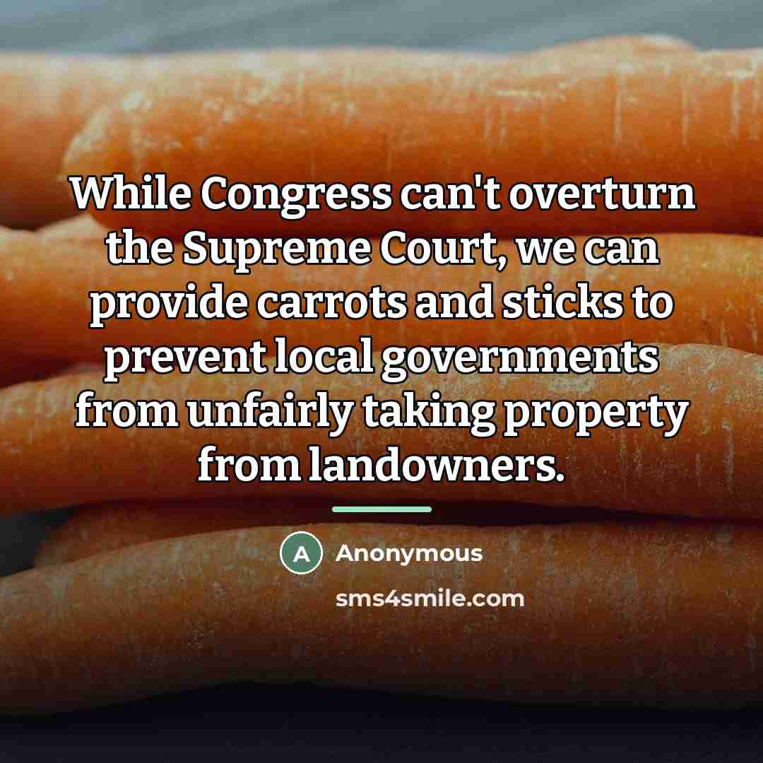 “While Congress can't overturn the Supreme Court, we can provide…” quote by Anonymous