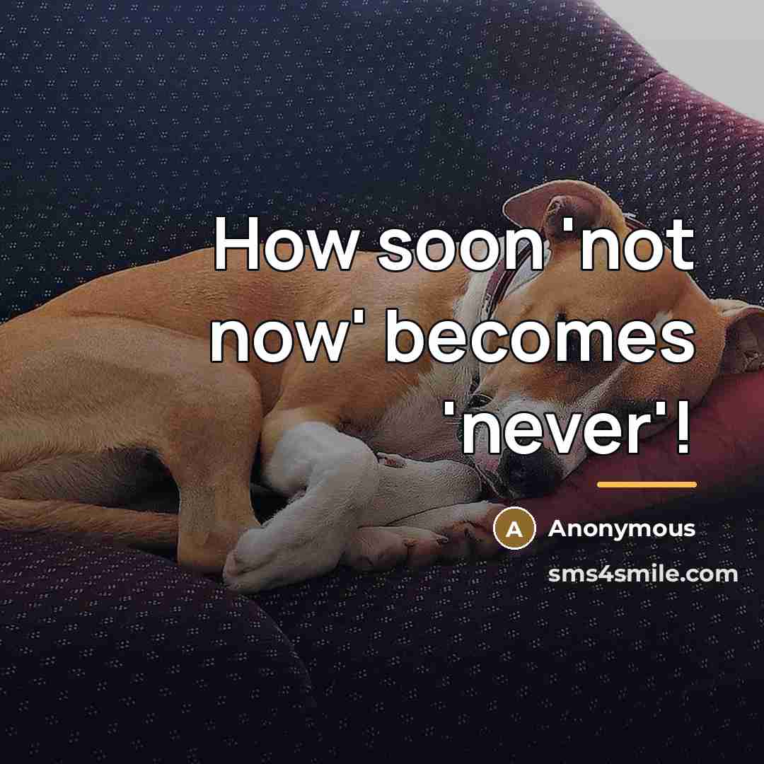 “How soon 'not now' becomes 'never'!…” quote by Anonymous