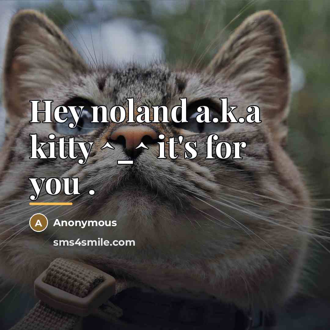 “Hey noland a.k.a kitty ^_^ it's for you .…” quote by Anonymous