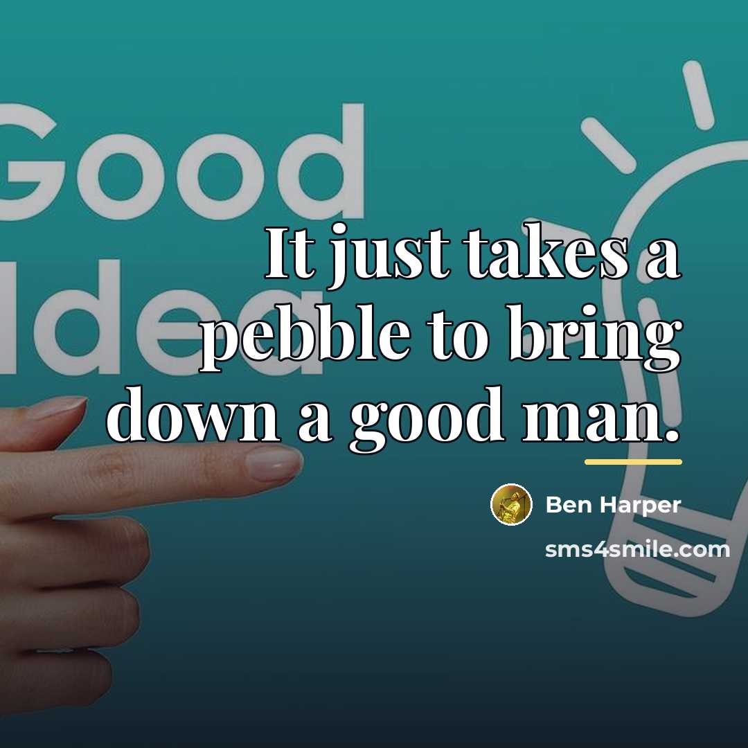 “It just takes a pebble to bring down a good…” quote by Ben Harper