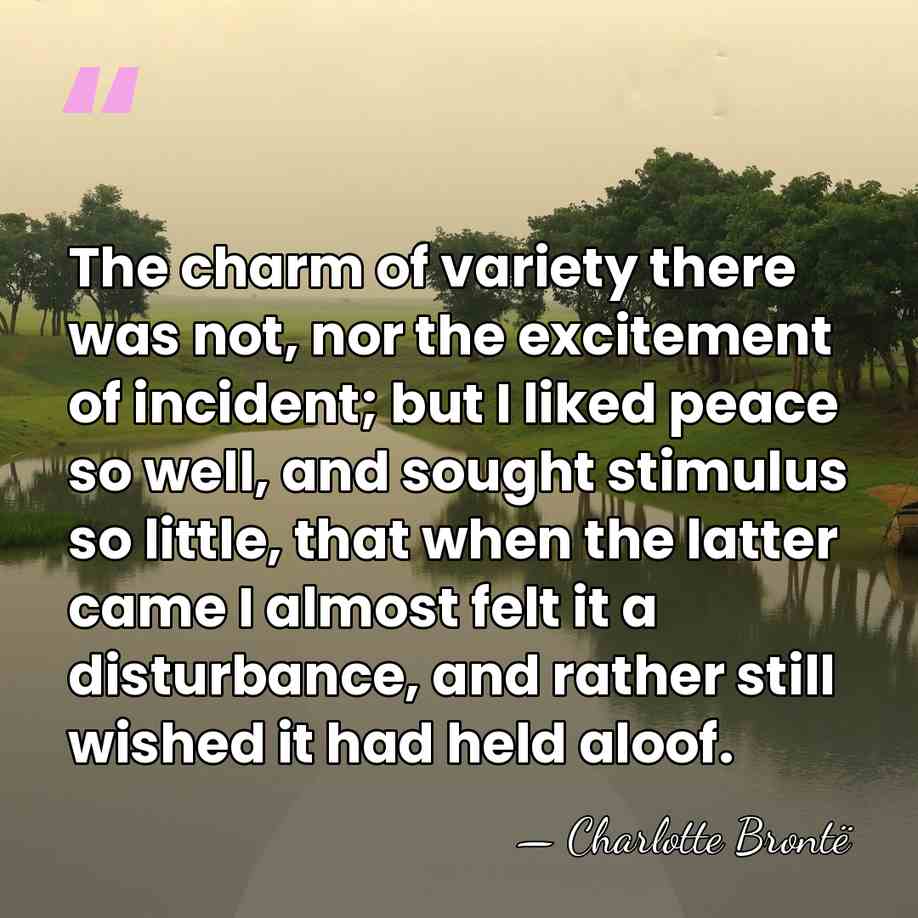 The charm of variety there was not, nor the excitement of incident;&hellip; - Charlotte Bronte