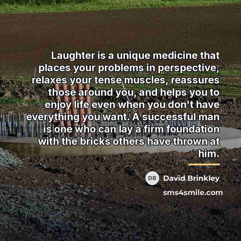 “Laughter is a unique medicine that places your problems in…” quote by David Brinkley