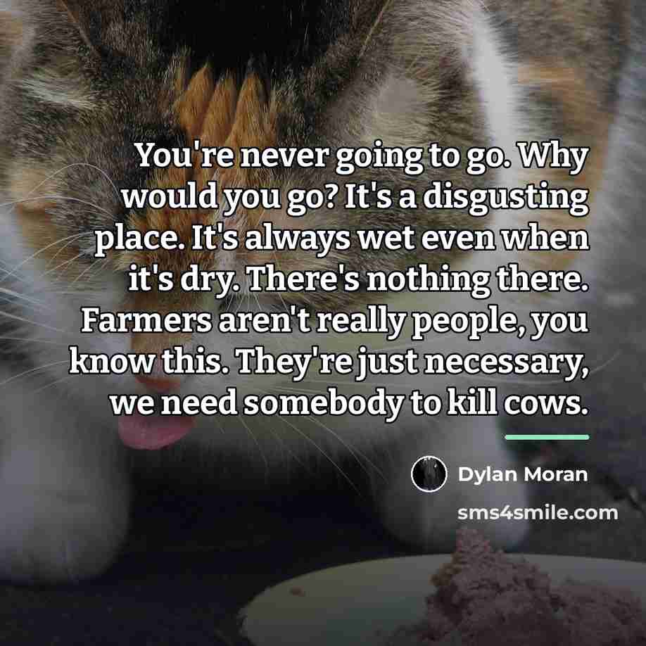 “You're never going to go. Why would you go? It's…” quote by Dylan Moran