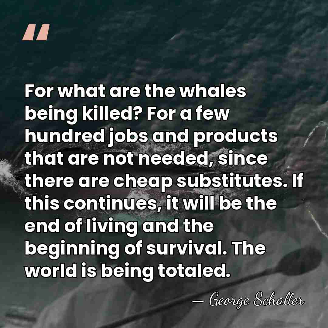 For what are the whales being killed? For a few hundred jobs&hellip; - George Schaller
