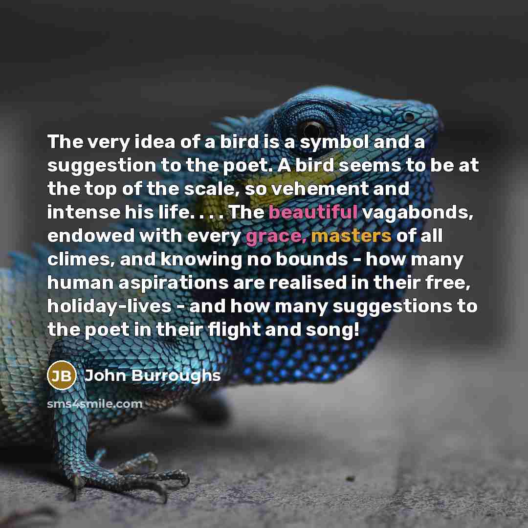 “The very idea of a bird is a symbol and…” quote by John Burroughs