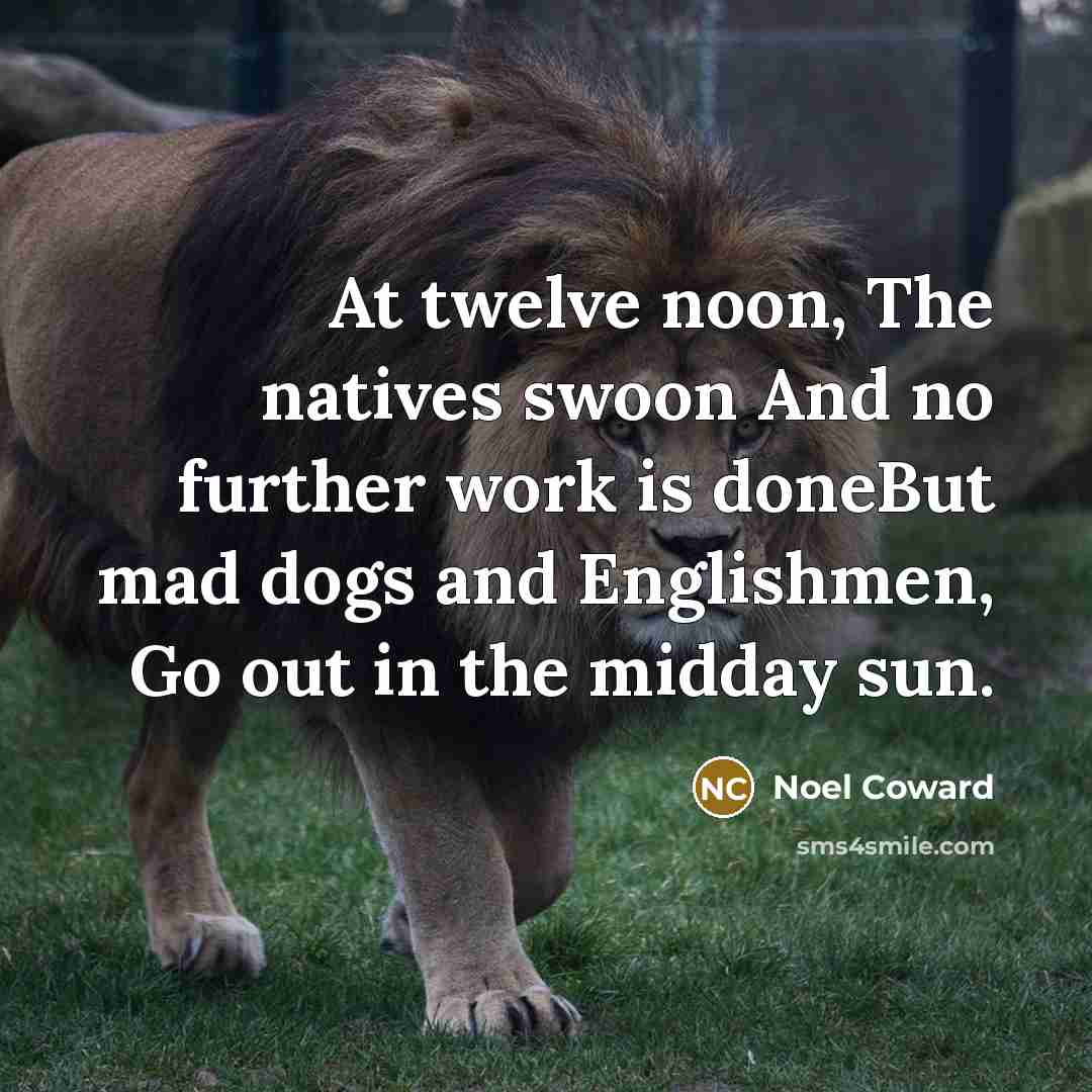 “At twelve noon, The natives swoon And no further work…” quote by Noel Coward