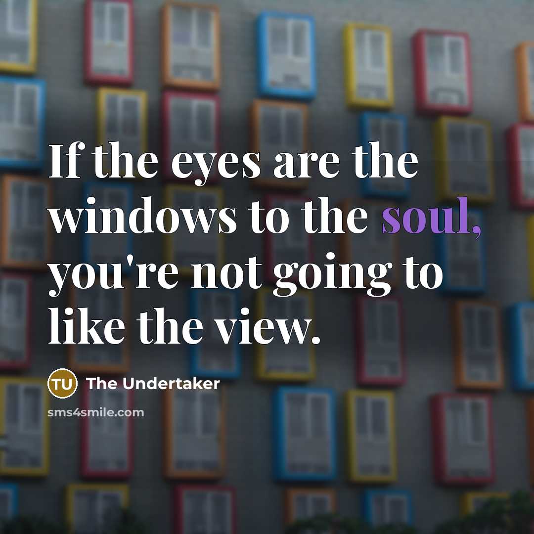 “If the eyes are the windows to the soul, you're…” quote by The Undertaker