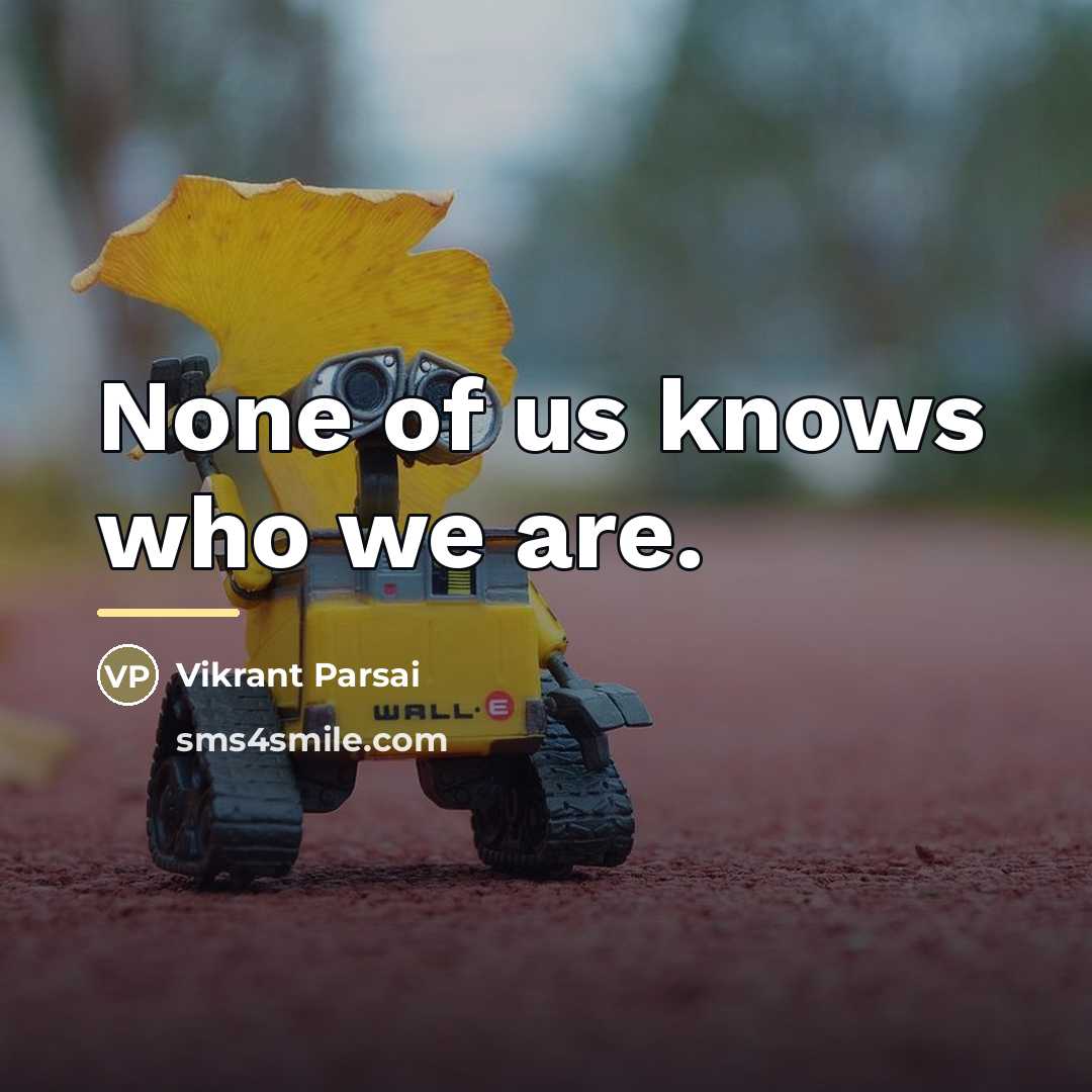 “None of us knows who we are.…” quote by Vikrant Parsai