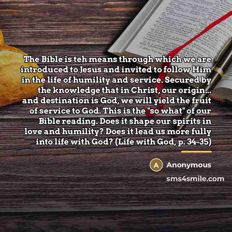 “The Bible is teh means through which we are introduced…” quote by Anonymous