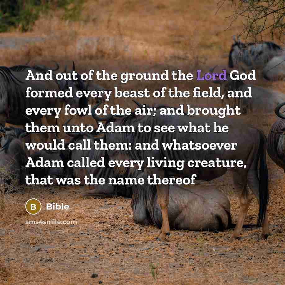 “And out of the ground the Lord God formed every…” quote by Bible