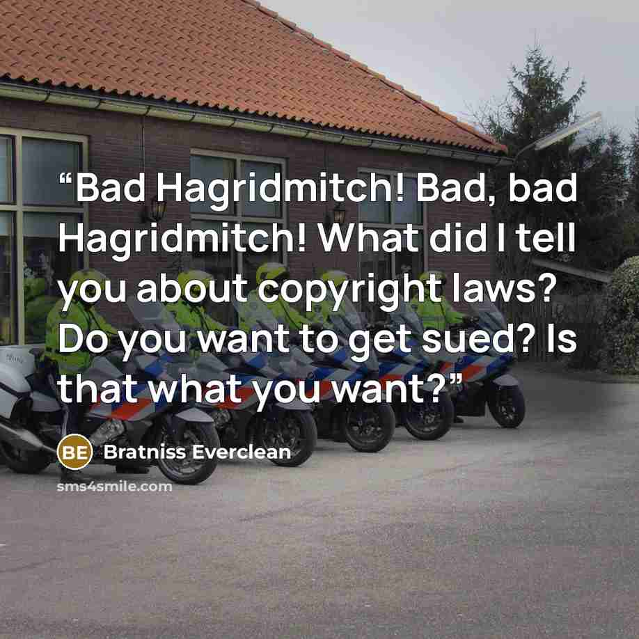 “Bad Hagridmitch! Bad, bad Hagridmitch! What did I tell you about copyright laws? Do you want to get sued? Is that what you want?” quote by Bratniss Everclean