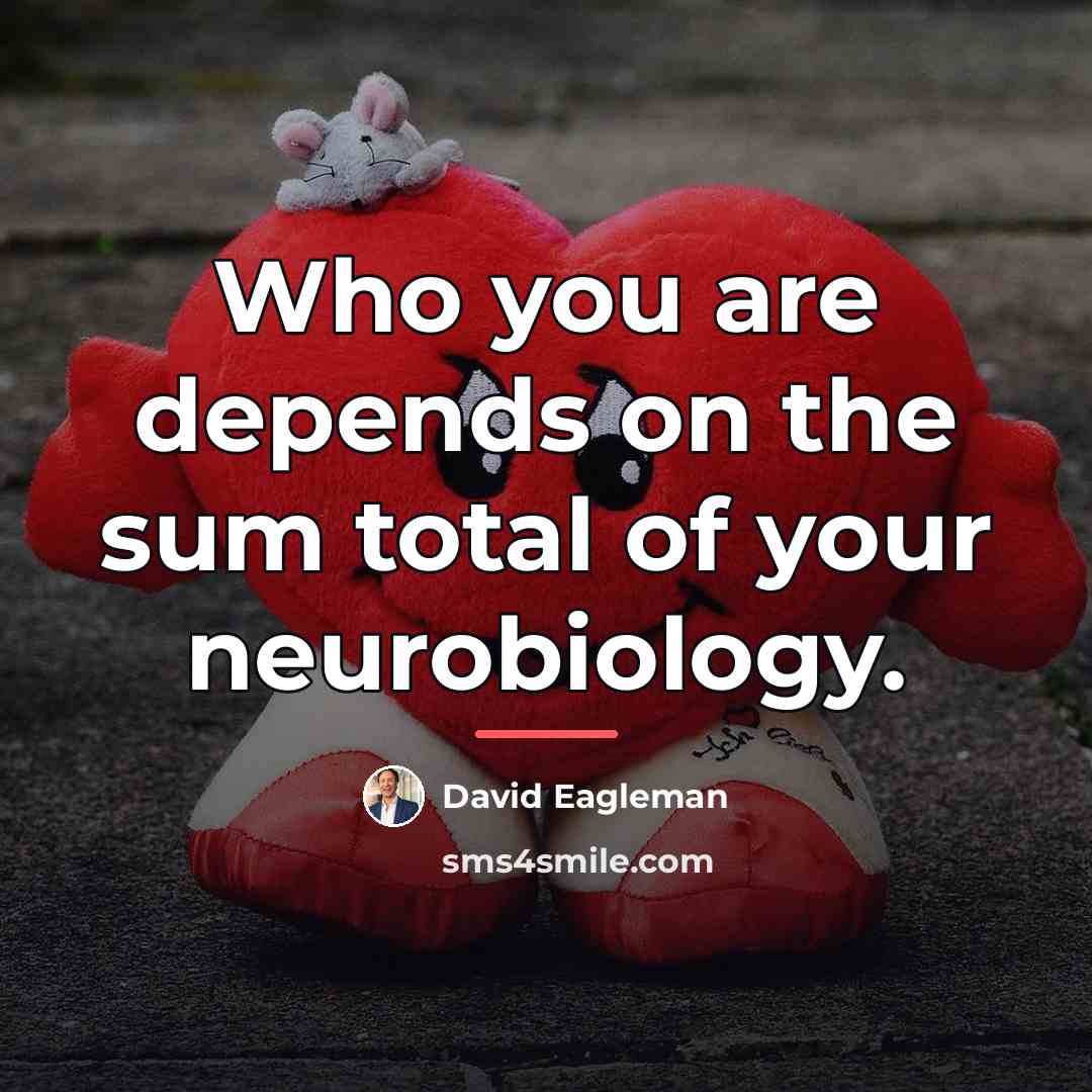 “Who you are depends on the sum total of your…” quote by David Eagleman