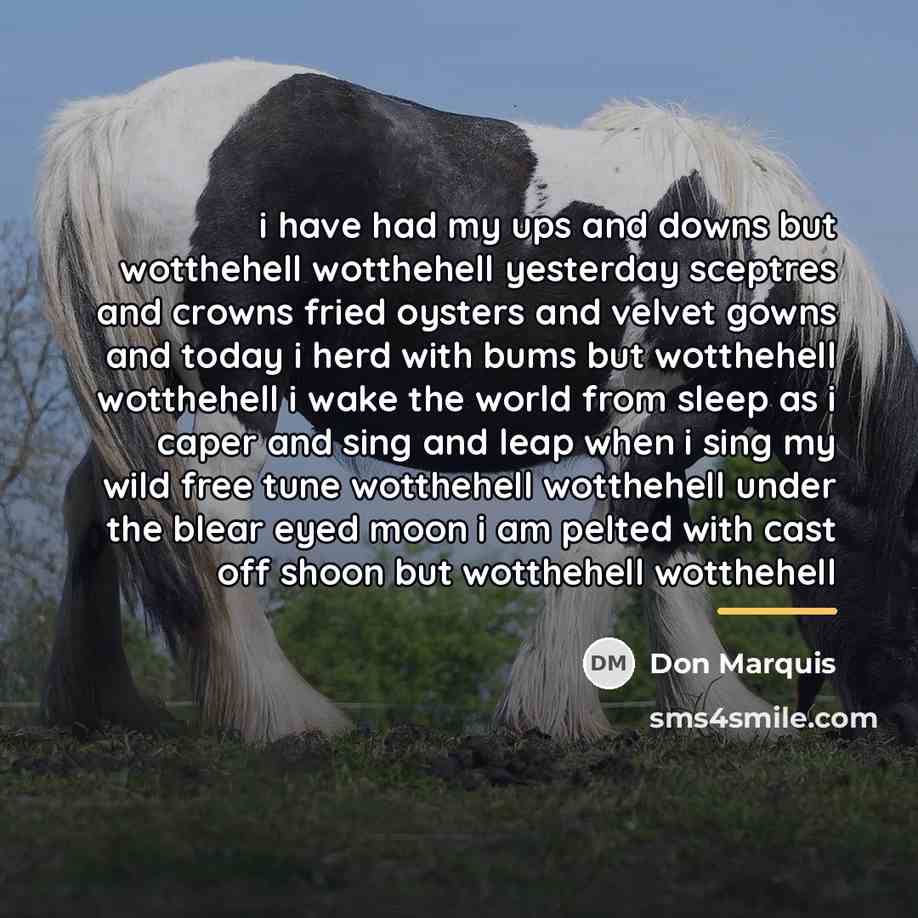 “i have had my ups and downs but wotthehell wotthehell…” quote by Don Marquis