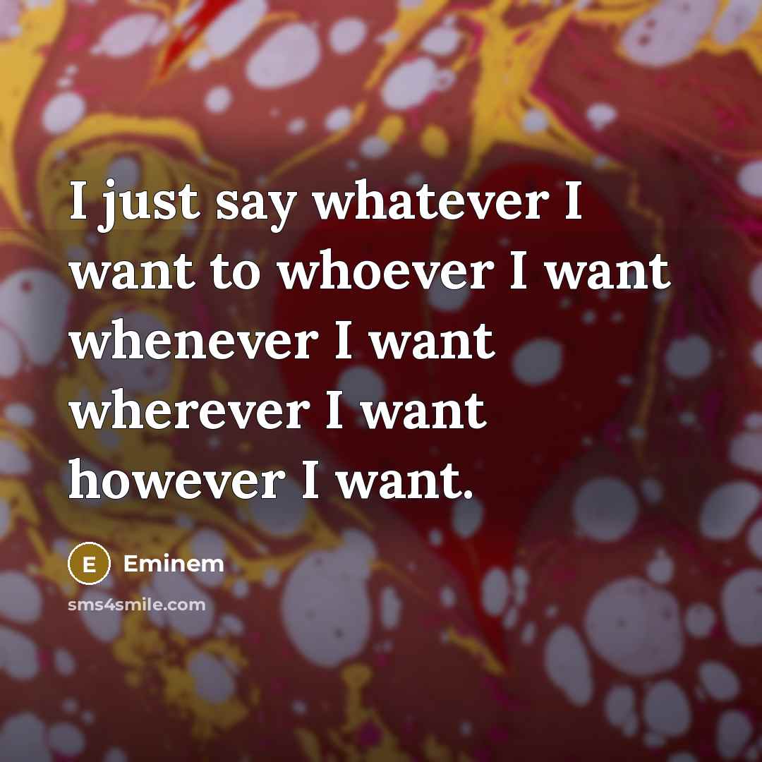 “I just say whatever I want to whoever I want…” quote by Eminem
