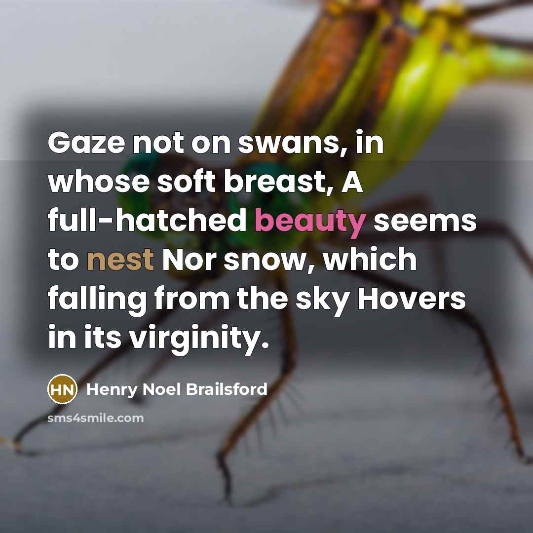 “Gaze not on swans, in whose soft breast, A full-hatched…” quote by Henry Noel Brailsford