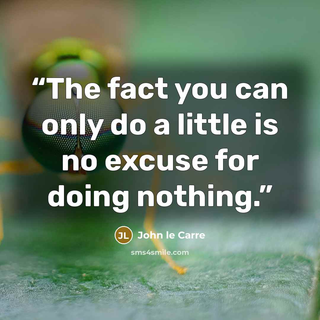 “The fact you can only do a little is no excuse for doing nothing.” quote by John le Carré