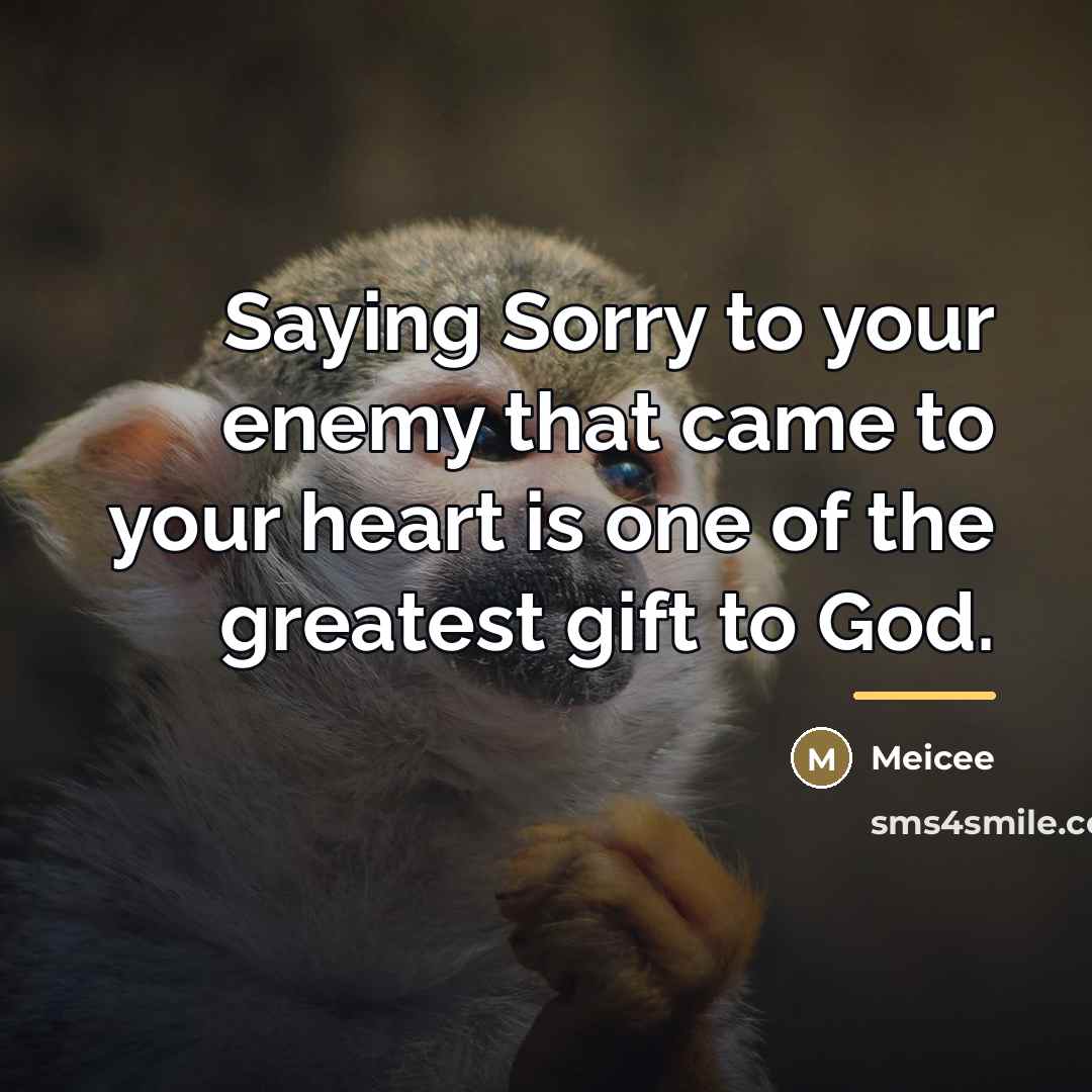 “Saying Sorry to your enemy that came to your heart…” quote by Meicee