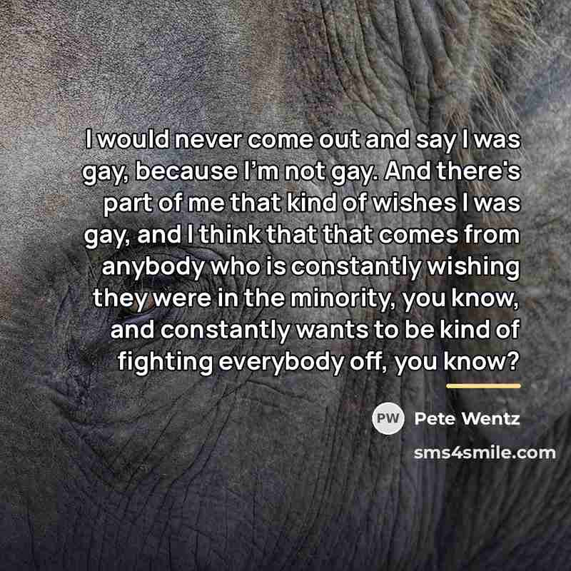 “I would never come out and say I was gay,…” quote by Pete Wentz