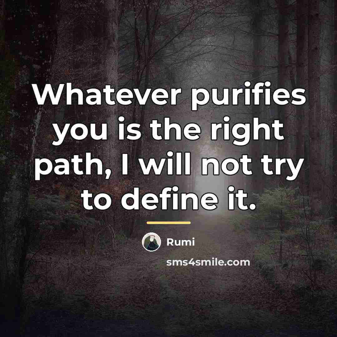 “Whatever purifies you is the right path, I will not…” quote by Rumi