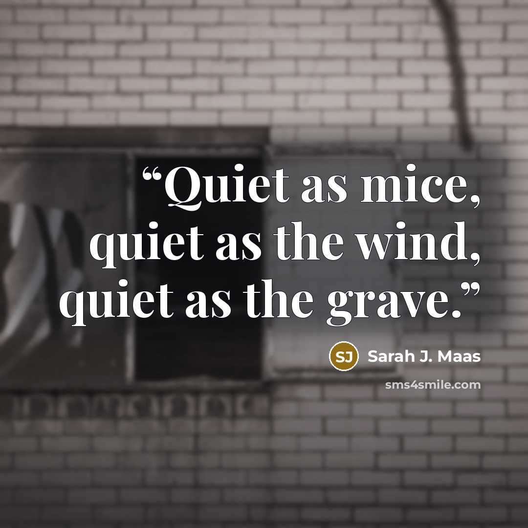 “Quiet as mice, quiet as the wind, quiet as the grave.” quote by Sarah J. Maas
