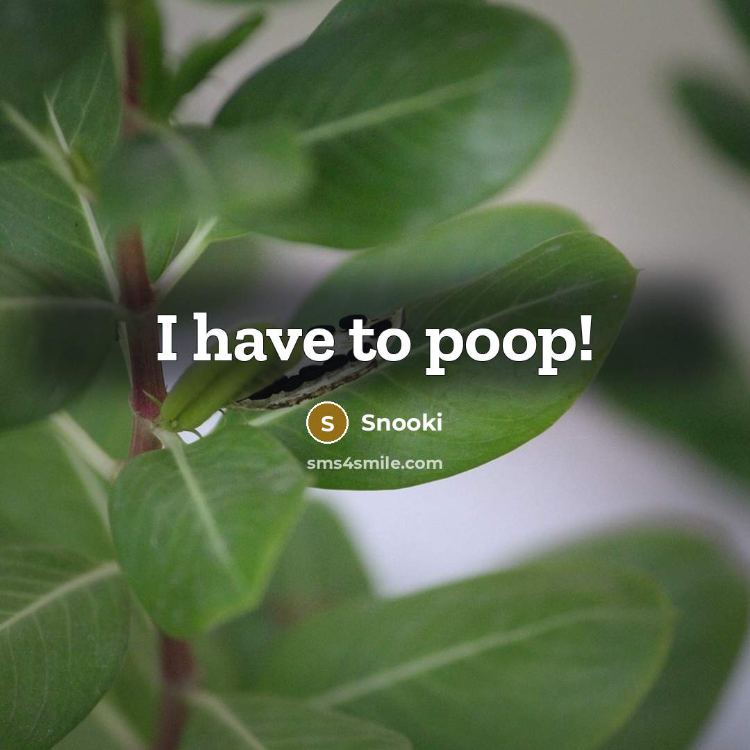 “I have to poop!…” quote by Snooki