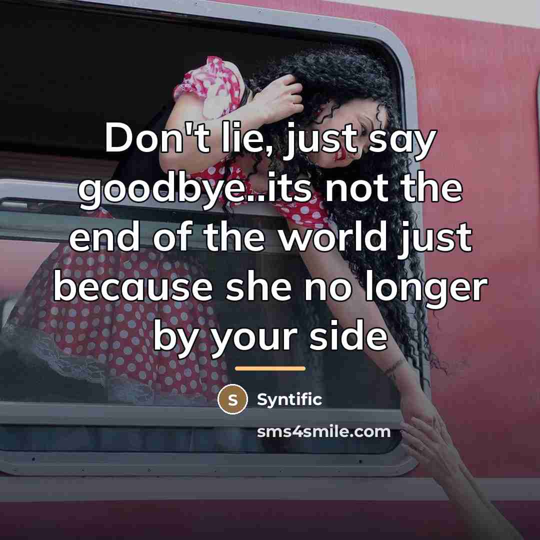 “Don't lie, just say goodbye..its not the end of the…” quote by Syntific
