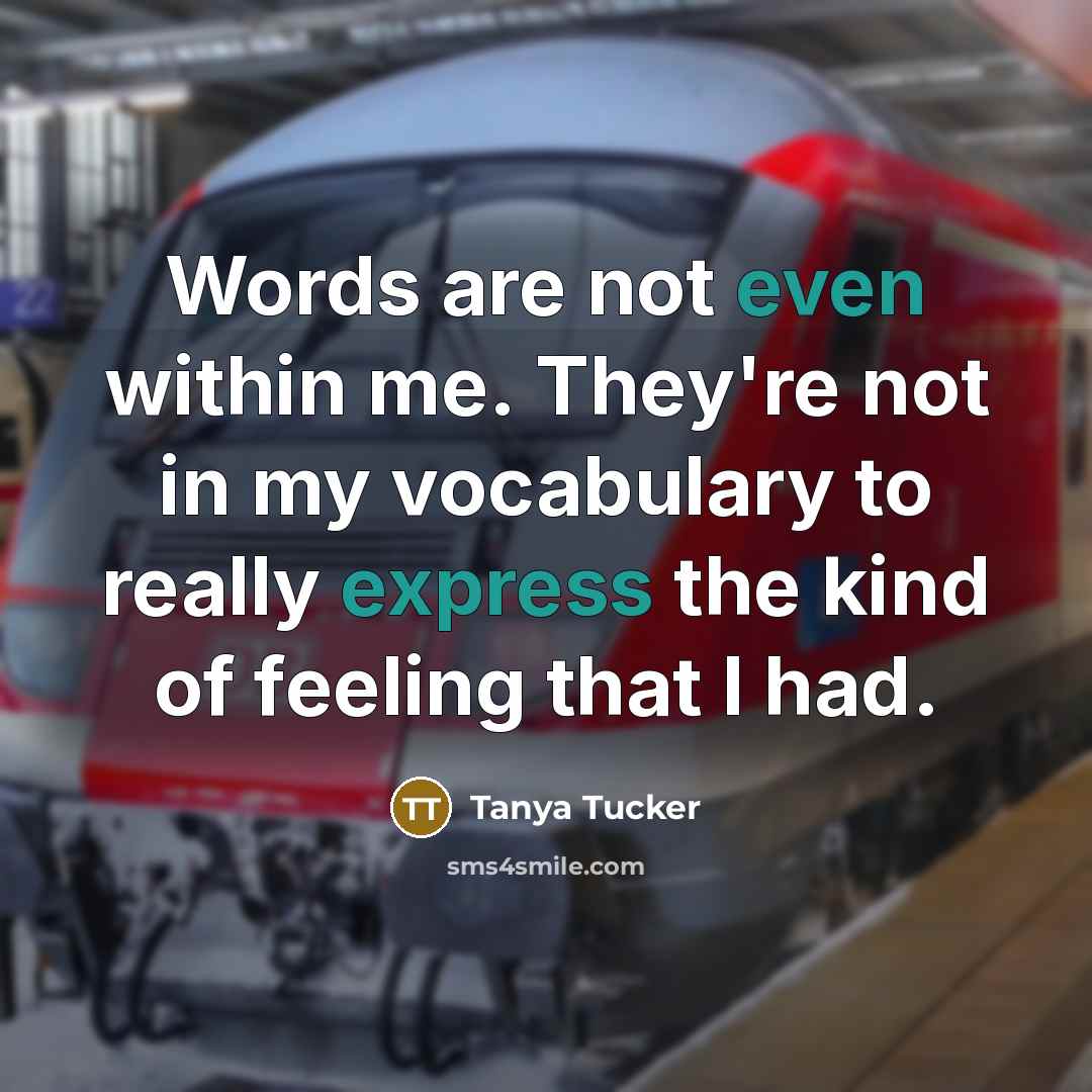 “Words are not even within me. They're not in my vocabulary to really express the kind of feeling that I had.” quote by Tanya Tucker