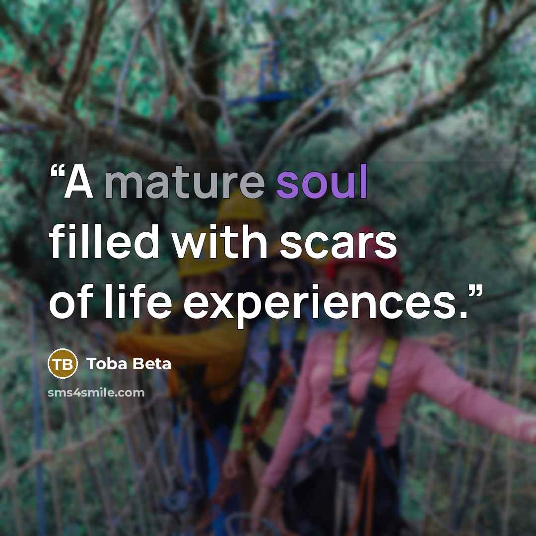 “A mature soul filled with scars of life experiences.” quote by Toba Beta