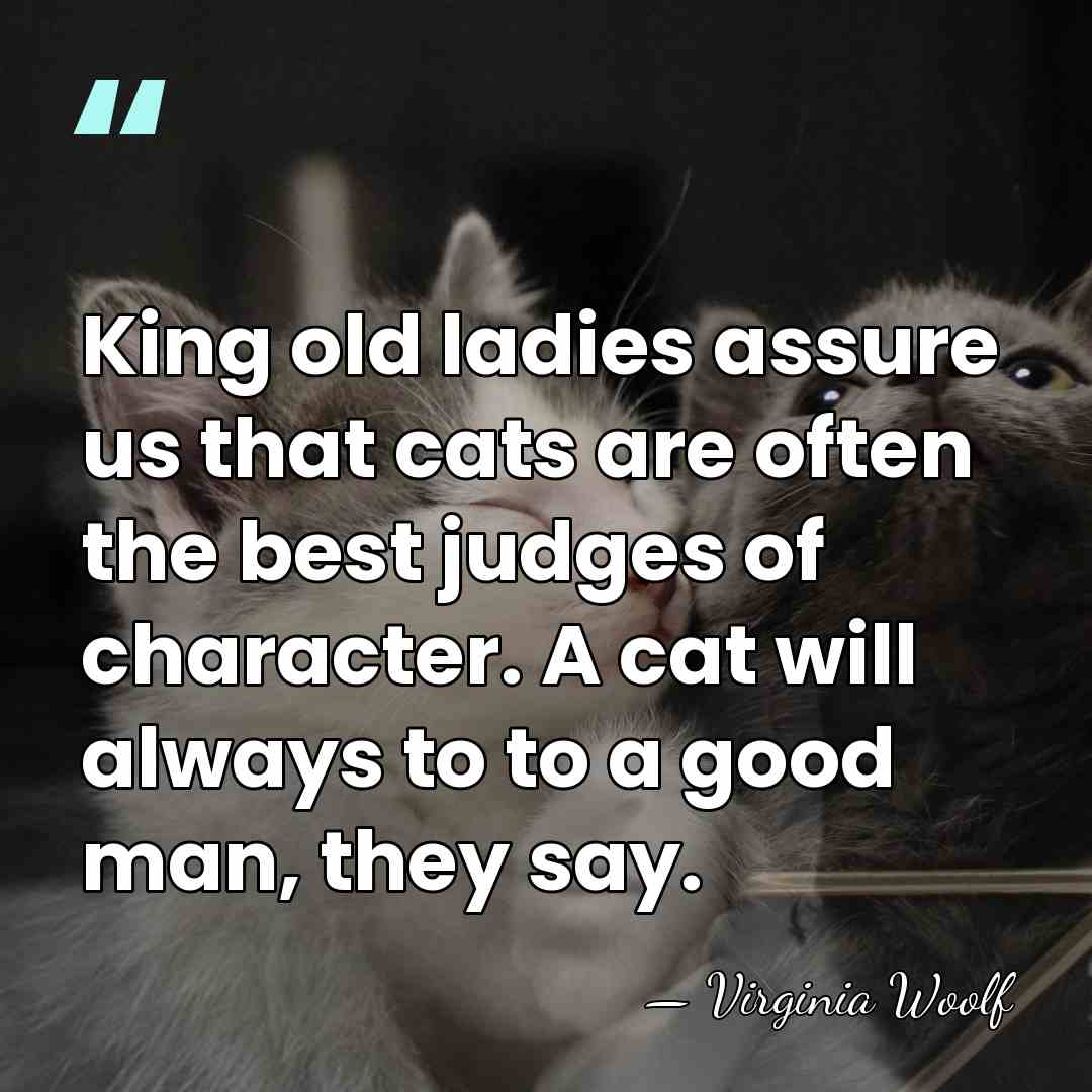 King old ladies assure us that cats are often the best judges&hellip; - Virginia Woolf