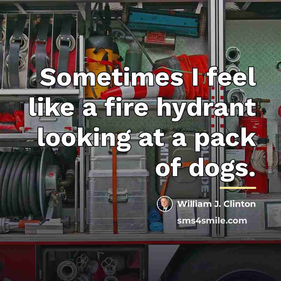 “Sometimes I feel like a fire hydrant looking at a…” quote by William J. Clinton
