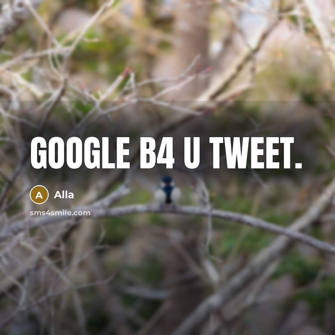 “Google b4 u Tweet.” quote by Alla