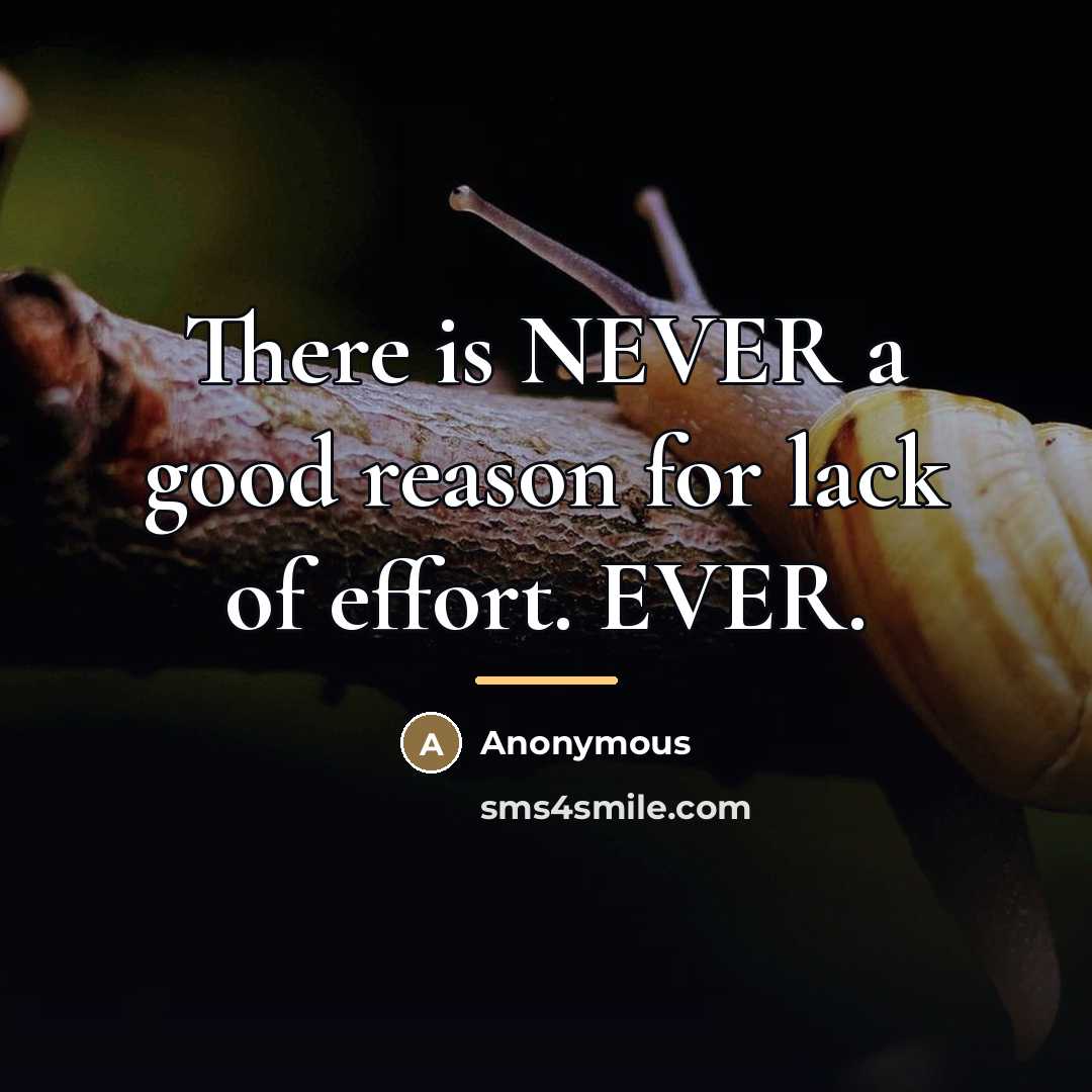 “There is NEVER a good reason for lack of effort.…” quote by Anonymous