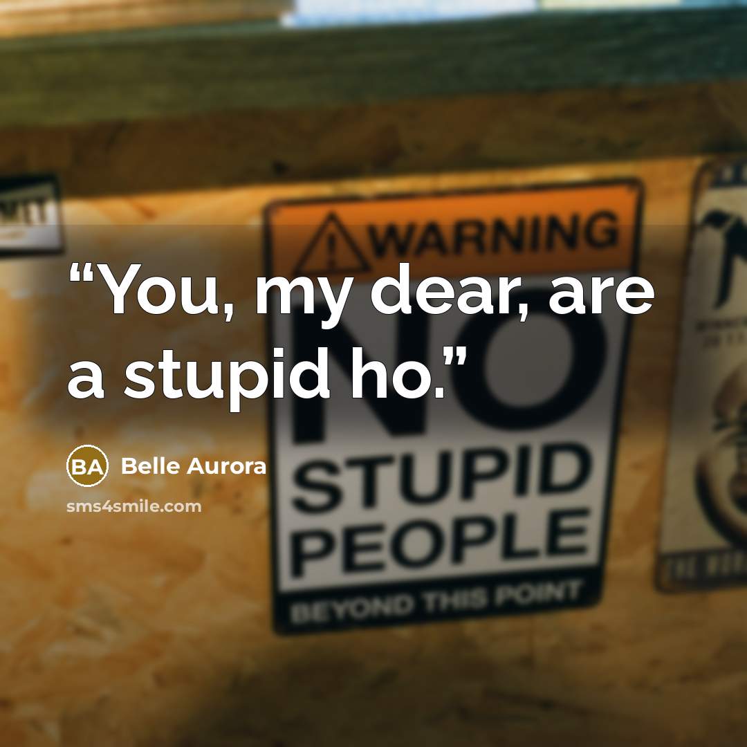 “You, my dear, are a stupid ho.” quote by Belle Aurora
