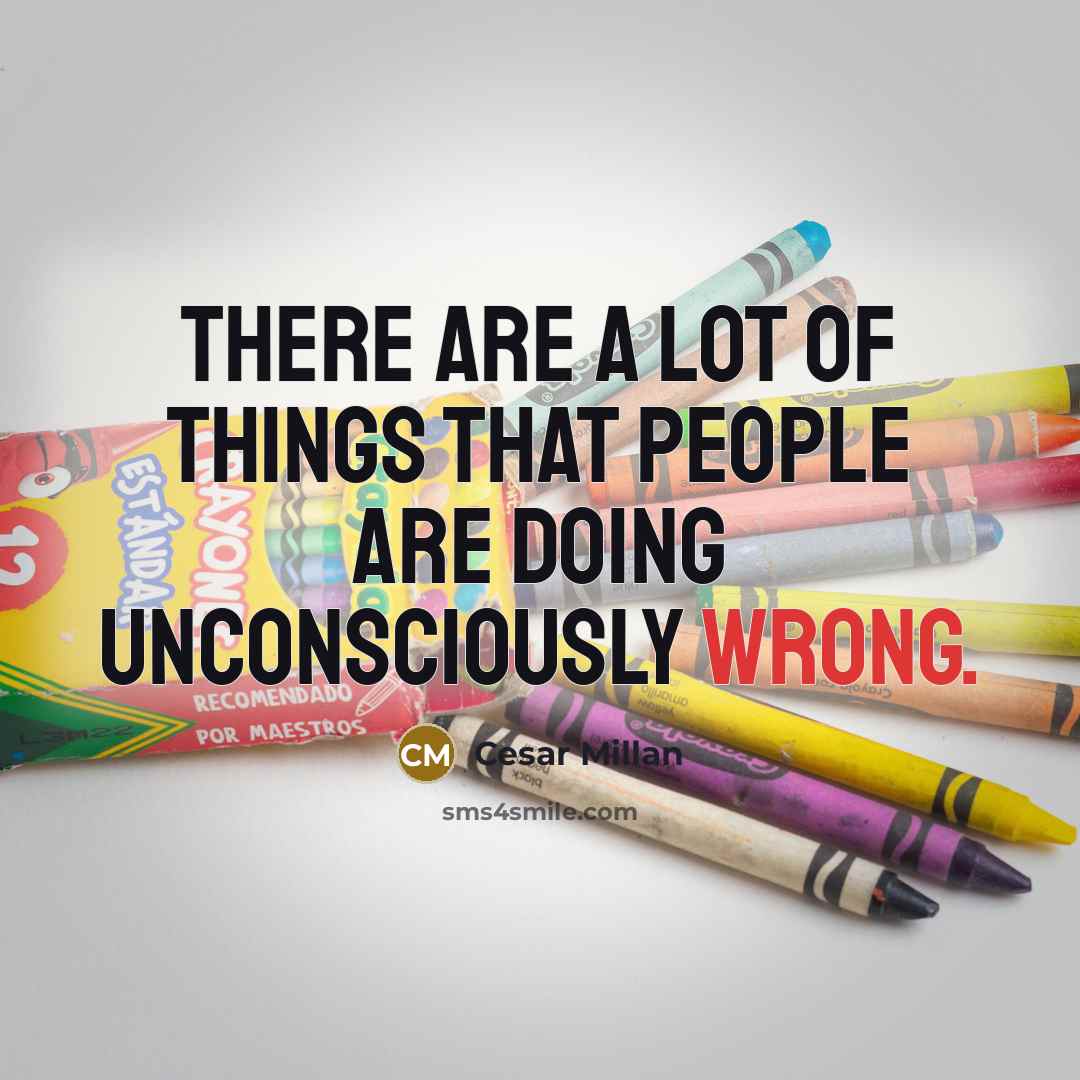 “There are a lot of things that people are doing…” quote by Cesar Millan
