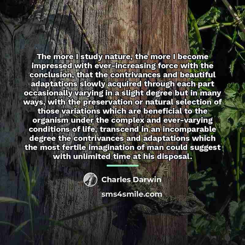 “The more I study nature, the more I become impressed…” quote by Charles Darwin