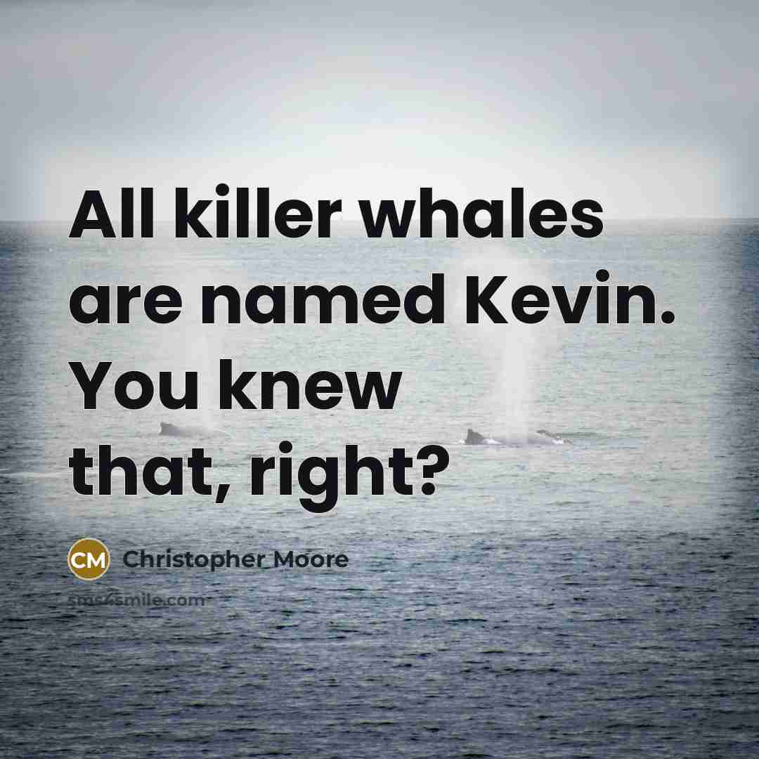 “All killer whales are named Kevin. You knew that, right?…” quote by Christopher Moore