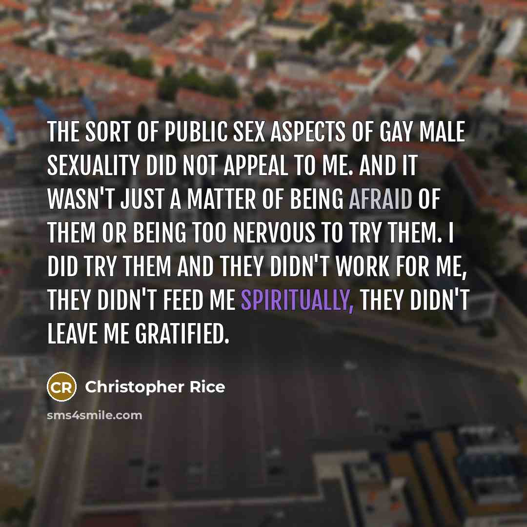“The sort of public sex aspects of gay male sexuality…” quote by Christopher Rice