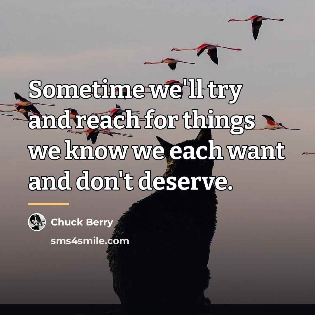“Sometime we'll try and reach for things we know we…” quote by Chuck Berry