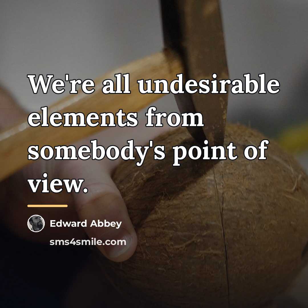 “We're all undesirable elements from somebody's point of view.…” quote by Edward Abbey