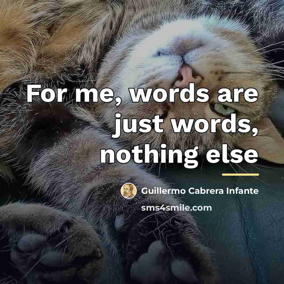 “For me, words are just words, nothing else…” quote by Guillermo Cabrera Infante