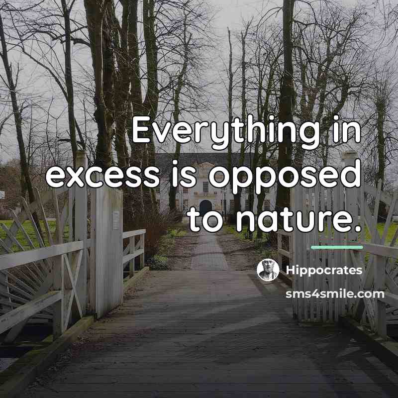 “Everything in excess is opposed to nature.…” quote by Hippocrates