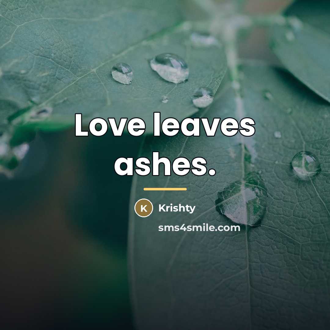 “Love leaves ashes.…” quote by Krishty
