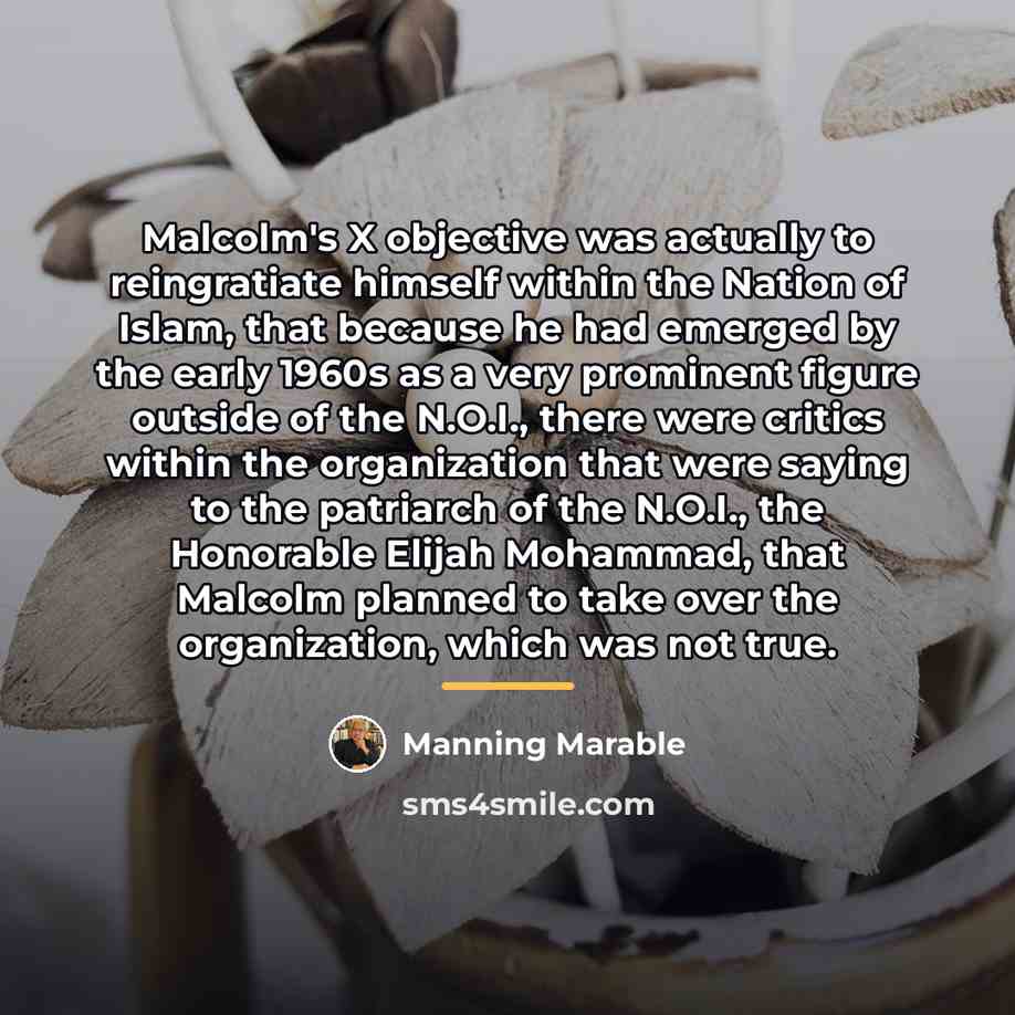 “Malcolm's X objective was actually to reingratiate himself within the…” quote by Manning Marable